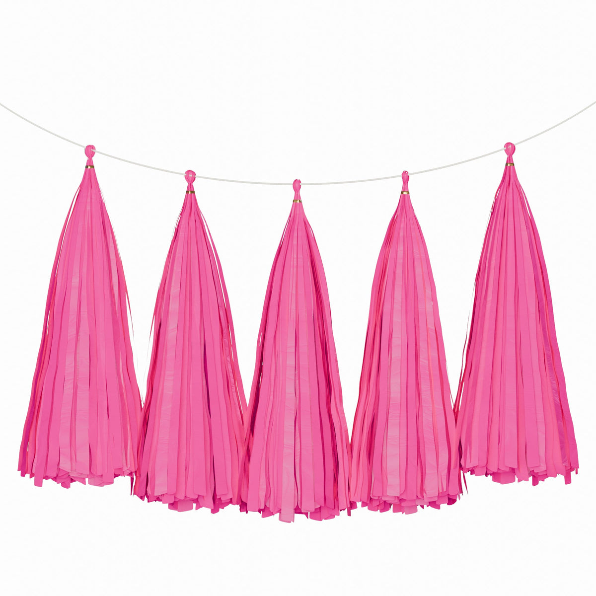 Weifang Mayshine Imp&exp co Decorations Fuchsia Tassel Garland, 5 Count 810064197086