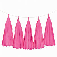 Weifang Mayshine Imp&exp co Decorations Fuchsia Tassel Garland, 5 Count 810064197086