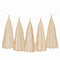 Weifang Mayshine Imp&exp co Decorations Kraft Tassel Garland, 5 Count 810064197192