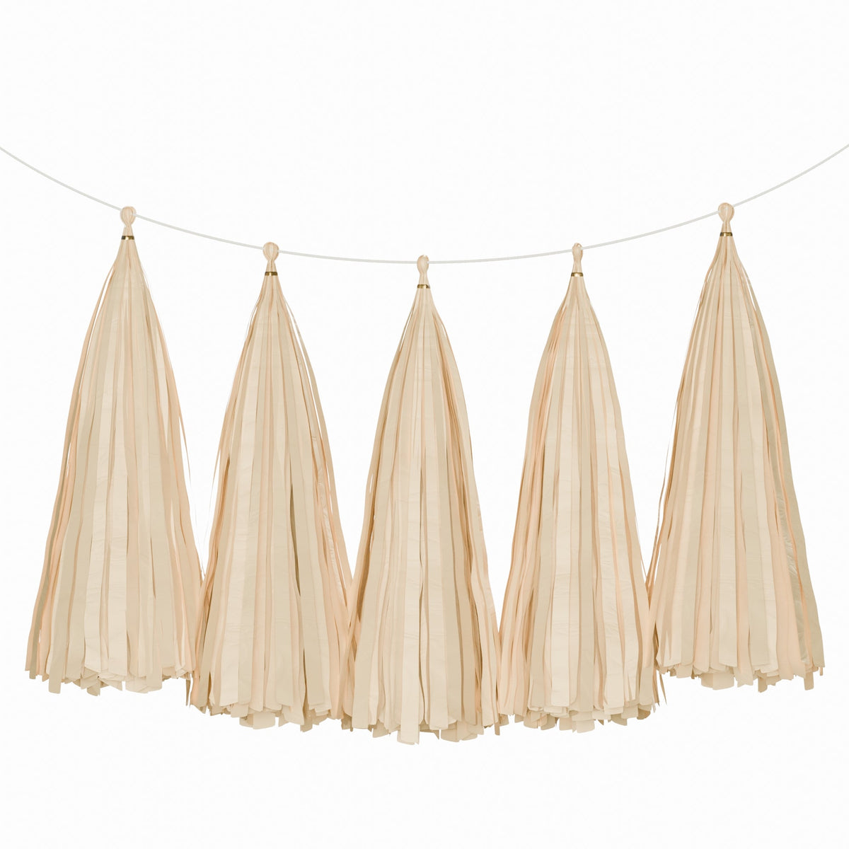 Weifang Mayshine Imp&exp co Decorations Kraft Tassel Garland, 5 Count 810064197192