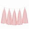 Weifang Mayshine Imp&exp co Decorations Light Pink Tassel Garland, 5 Count 810064197062
