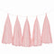 Weifang Mayshine Imp&exp co Decorations Light Pink Tassel Garland, 5 Count 810064197062