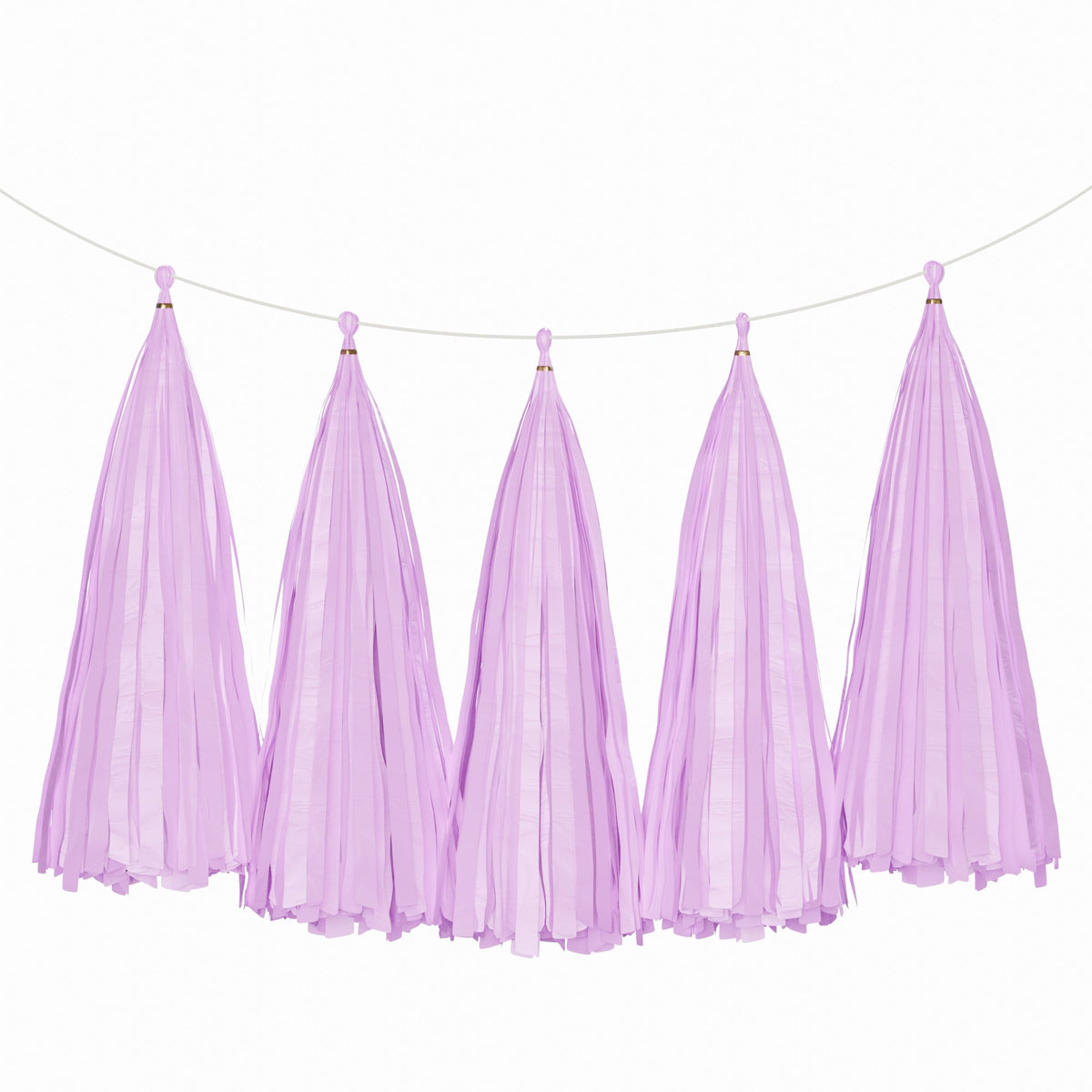 Weifang Mayshine Imp&exp co Decorations Lilac Tassel Garland, 5 Count 810064197109