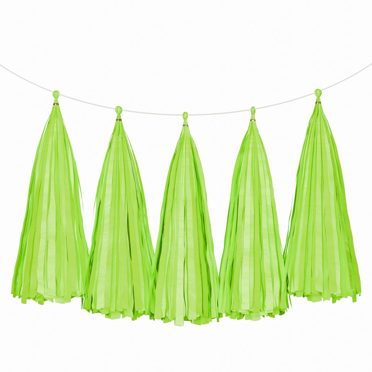 Weifang Mayshine Imp&exp co Decorations Lime Tassel Garland, 5 Count 810064197246
