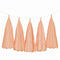 Weifang Mayshine Imp&exp co Decorations Peach Tassel Garland, 5 Count 810064197178