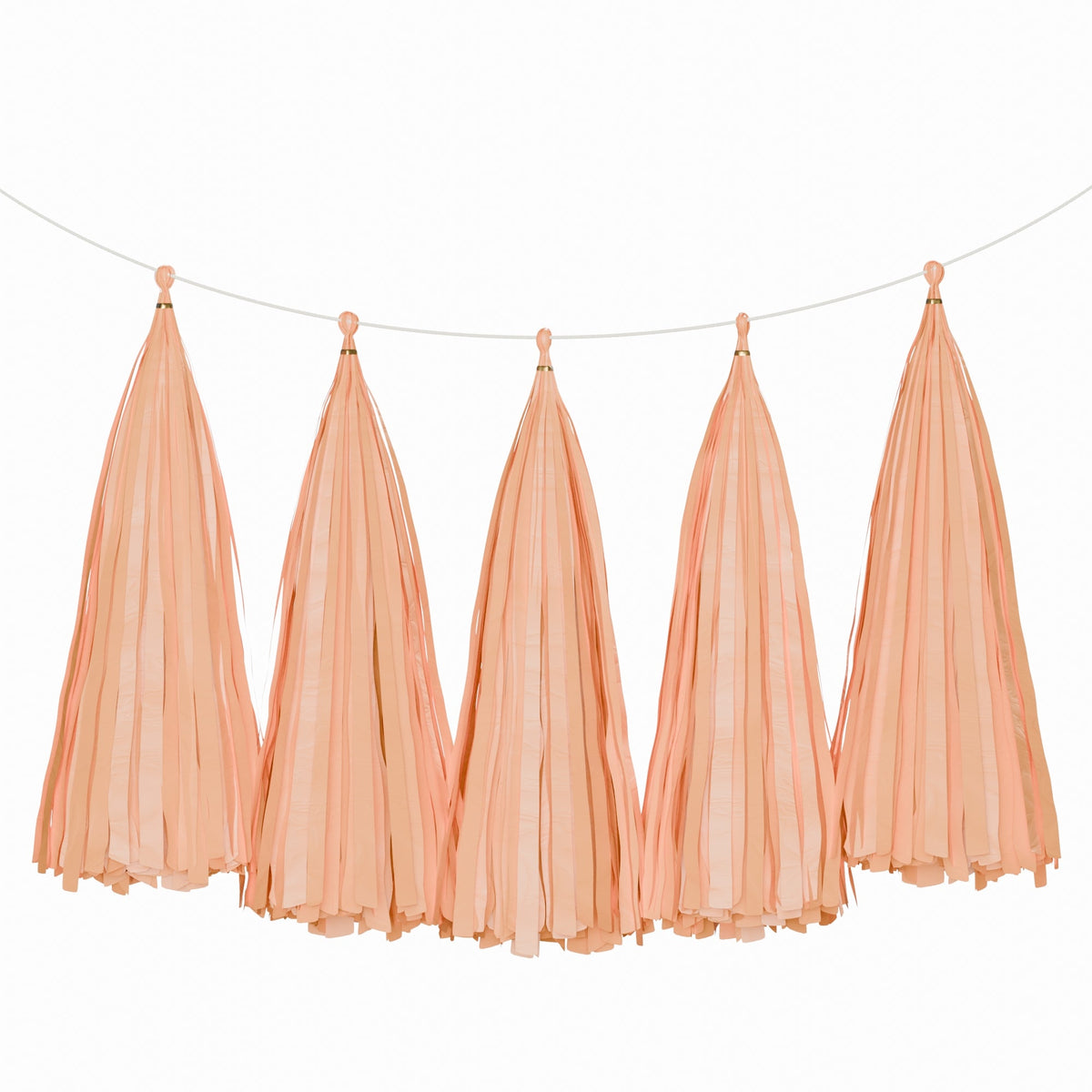 Weifang Mayshine Imp&exp co Decorations Peach Tassel Garland, 5 Count 810064197178