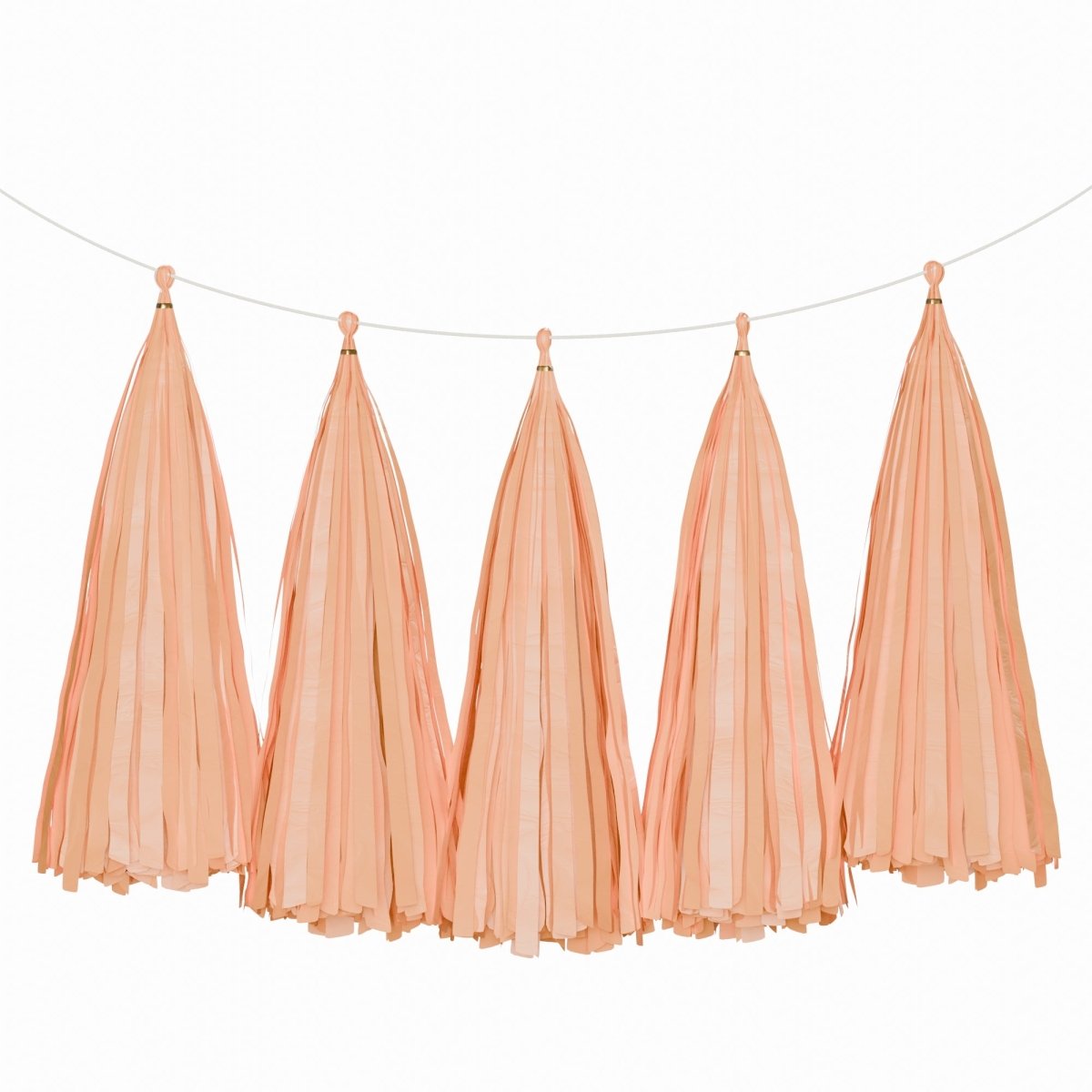 Weifang Mayshine Imp&exp co Decorations Peach Tassel Garland, 5 Count 810064197178