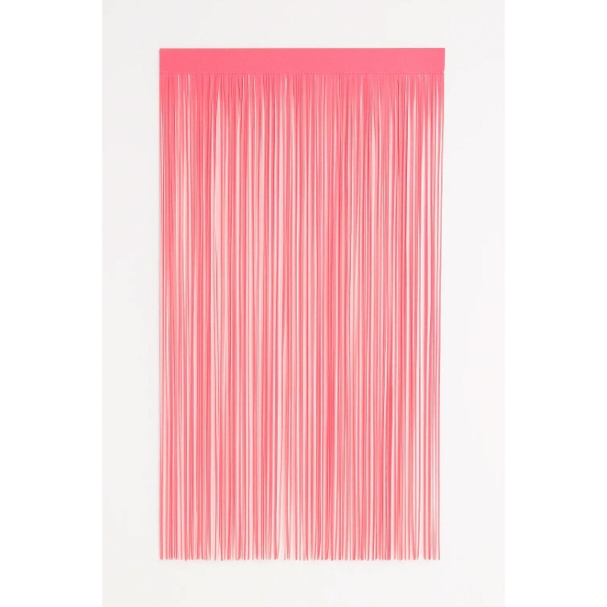 WIDE OCEAN INTERNATIONAL TRADE BEIJING CO., LTD Decorations Neon Pink Fringe Curtain, 1 Count 840482504241