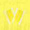 WIDE OCEAN INTERNATIONAL TRADE BEIJING CO., LTD Decorations Neon Yellow Fringe Curtain, 1 Count 840482504265