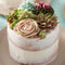 WILTON INDUSTRIES Cake Supplies Buttercream Icing Mix - White 020591940226
