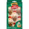 WILTON INDUSTRIES Christmas Christmas Santa and Reindeer Icing Decorations, 46g, 1 Count 020591010288