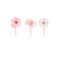 YIWU DAMAI Baby Shower Baby In Bloom Cupcake Toppers, 12 Count 810120719832