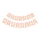 YIWU DAMAI Everyday Entertaining Daisy Daydream Happy Birthday Banner, 1 Count 810120717777
