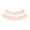 YIWU DAMAI Everyday Entertaining Daisy Daydream Happy Birthday Banner, 1 Count 810120717777