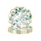 YIWU DAMAI Everyday Entertaining Golden Foliage Small Dessert Paper Plates, 8 Inches, 8 Count 810120719665