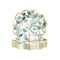 YIWU DAMAI Everyday Entertaining Golden Foliage Small Dessert Paper Plates, 8 Inches, 8 Count 810120719665