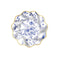 YIWU DAMAI Everyday Entertaining Majestic Flowers Small Dessert Paper Plates, 8 Inches, 8 Count 810120719603