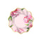YIWU DAMAI Everyday Entertaining Rosy Elegance Small Dessert Paper Plates, 8 Inches, 8 Count 810120719726