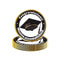 YIWU DAMAI Graduation Graduation Large Round Lunch Paper Plates, English, 9 Inches, 8 Count 840482501837