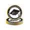 YIWU DAMAI Graduation Graduation Large Round Lunch Paper Plates, French, 9 Inches, 8 Count 840482501318