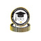 YIWU DAMAI Graduation Graduation Small Round Dessert Paper Plates, French, 7 Inches, 8 Count 840482501301