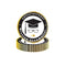 YIWU DAMAI Graduation Graduation Small Round Dessert Paper Plates, French, 7 Inches, 8 Count 840482501301