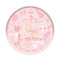YIWU DAMAI Kids Birthday Dream Carousel Birthday Large Round Lunch Paper Plates, 9 Inches, 8 Count 840482500069