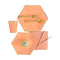 YIWU SANDY PAPER PRODUCTS CO., LTD Everyday Entertaining Hexagon Orange Plates, 7 Inches, 8 Count 810064196454