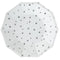 YIWU SANDY PAPER PRODUCTS CO., LTD Everyday Entertaining Little Stars Large Decagon Lunch Paper Plates, Silver, 9 Inches, 8 Count 810120713090