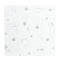 YIWU SANDY PAPER PRODUCTS CO., LTD Everyday Entertaining Little Stars Small Beverage Napkins, Silver, 16 Count 810120713113