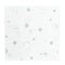YIWU SANDY PAPER PRODUCTS CO., LTD Everyday Entertaining Little Stars Small Beverage Napkins, Silver, 16 Count 810120713113