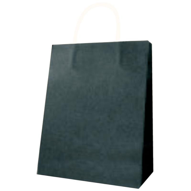 Buy Gift Wrap & Bags Kraft Solid Bag Medium - Black sold at Party Expert