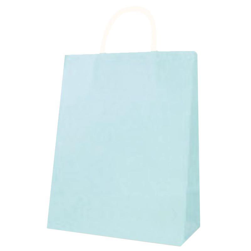 Buy Gift Wrap & Bags Light blue medium kraft bag sold at Party Expert