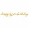 AMSCAN CA Age Specific Birthday Golden Age Birthday, Happy 30th Birthday Letter Banner, 12 ft