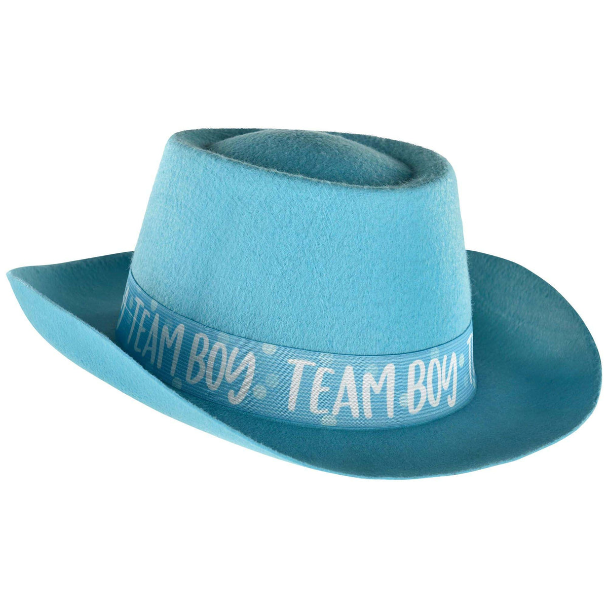 AMSCAN CA Baby Shower Gender Reveal Blue Felt Hat, 1 Count 192937381670