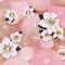 AMSCAN CA Balloons White Flowers Balloon Accent Decor, 12 Count