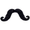 Buy Costume Accessories Black mustache sold at Party Expert