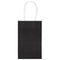 Buy Gift Wrap & Bags Paper Gift Bags - Black 10/pkg sold at Party Expert