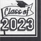 AMSCAN CA Graduation 2023 Graduation Large Lunch Napkins, 40 Count 192937372821