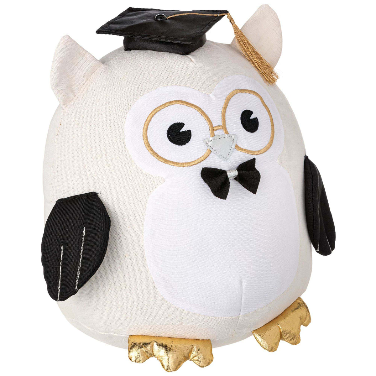 AMSCAN CA Graduation Graduation Autograph Plush Owl, 9 x 7 Inches, 1 Count 192937374337