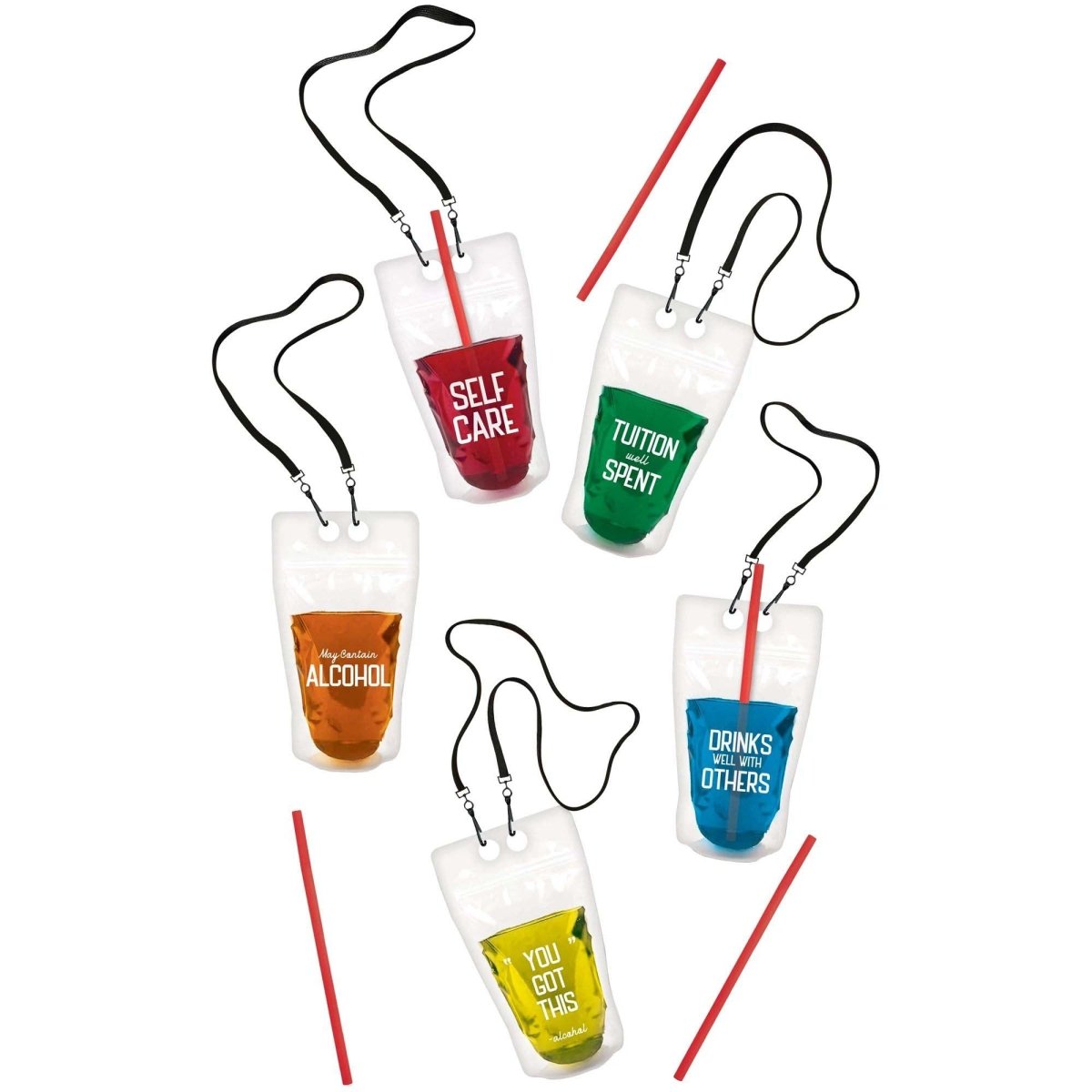 Bouteille Secrète Jumelles BigMouth – Flasque 16oz Avec Entonnoir – Neuf