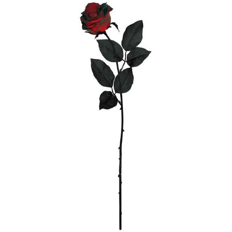 Buy Halloween Blood red rose, 24 inches sold at Party Expert