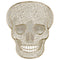 AMSCAN CA Halloween Glam Boneyard Vinyl Placemat 192937342718