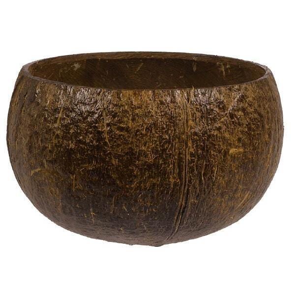 Buy Theme Party Coconut Cup sold at Party Expert