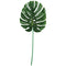 AMSCAN CA Theme Party Palm Leaf, 29.5 in, Plastic, 3 Count