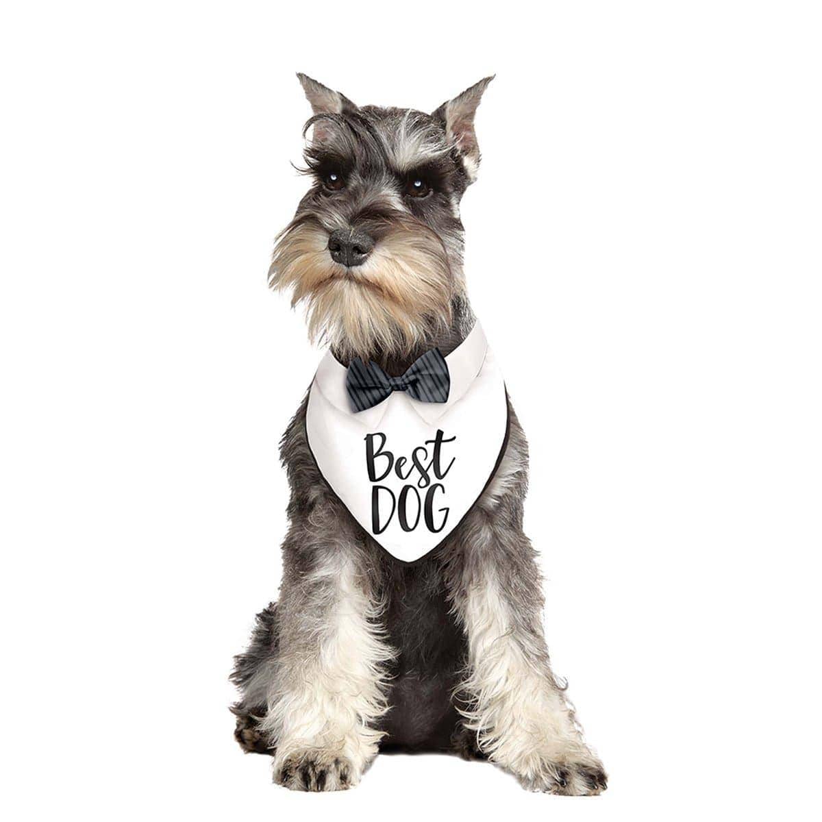 Buy Wedding Wedding Bandana - Best Dog sold at Party Expert
