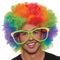 Buy Costume Accessories Rainbow Super Freak wig for adults sold at Party Expert
