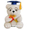 Buy Graduation Graduation Bear 7 In. - Blue sold at Party Expert