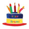 Buy General Birthday Plush Cake Hat sold at Party Expert