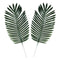 Buy Theme Party Palm Leaves, 2 Count sold at Party Expert